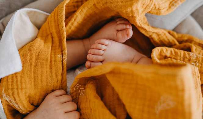 baby toes 
